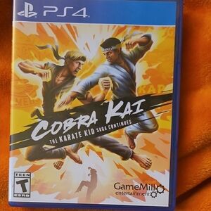 Sony PS4 Cobra Kai: The Karate Kid Saga Continues - Blue & Orange